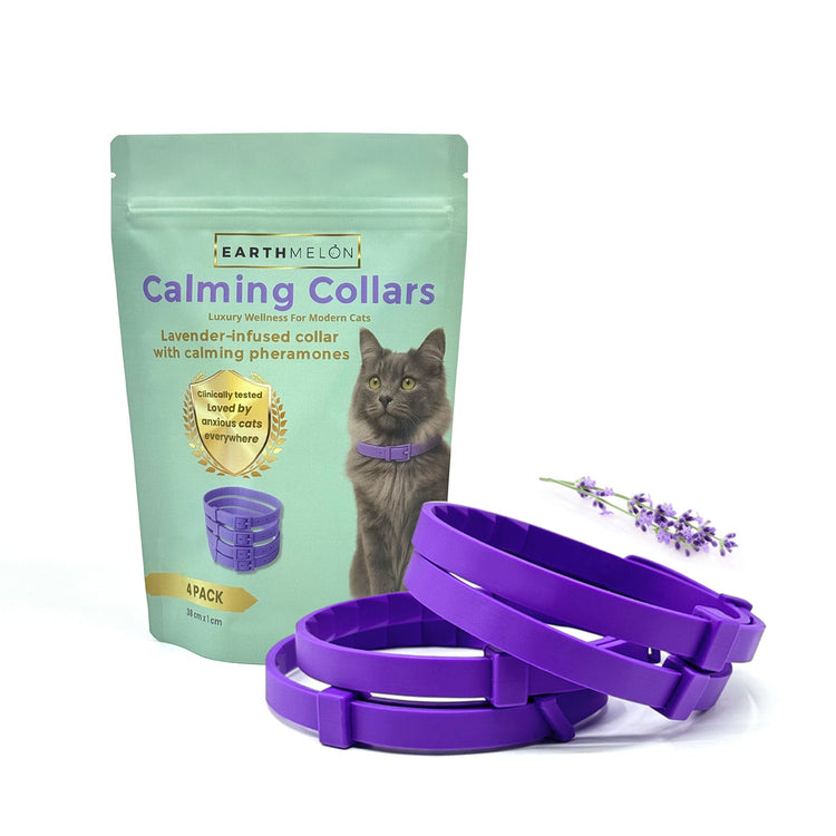 Pet Accessories & Essentials