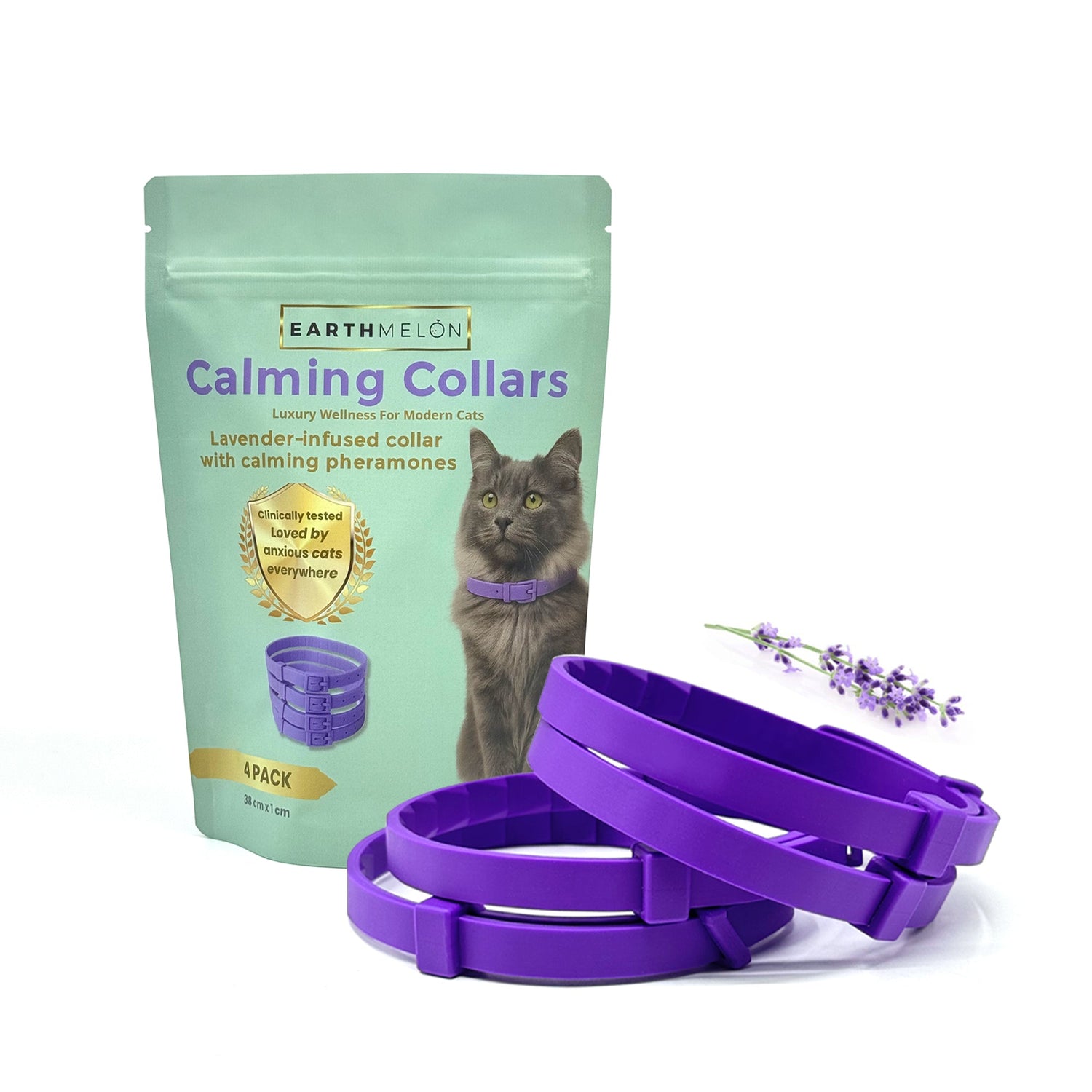 Pet Accessories & Essentials