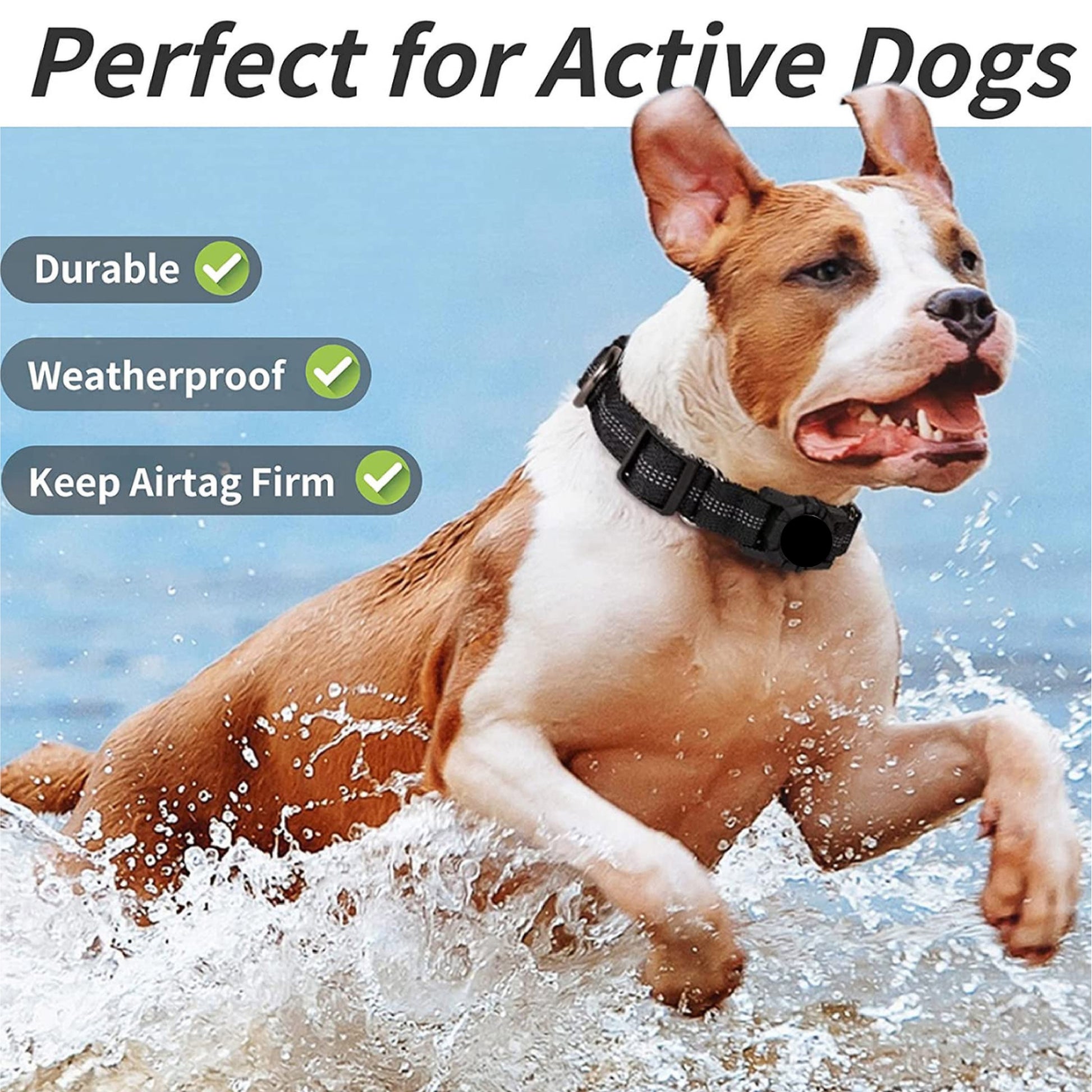 Adjustable Reflective AirTag Holder Collar for Dogs – Durable Pulse Ability Pet ID Tag Holder