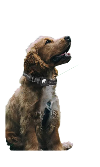 Adjustable Reflective AirTag Holder Collar for Dogs – Durable Pulse Ability Pet ID Tag Holder