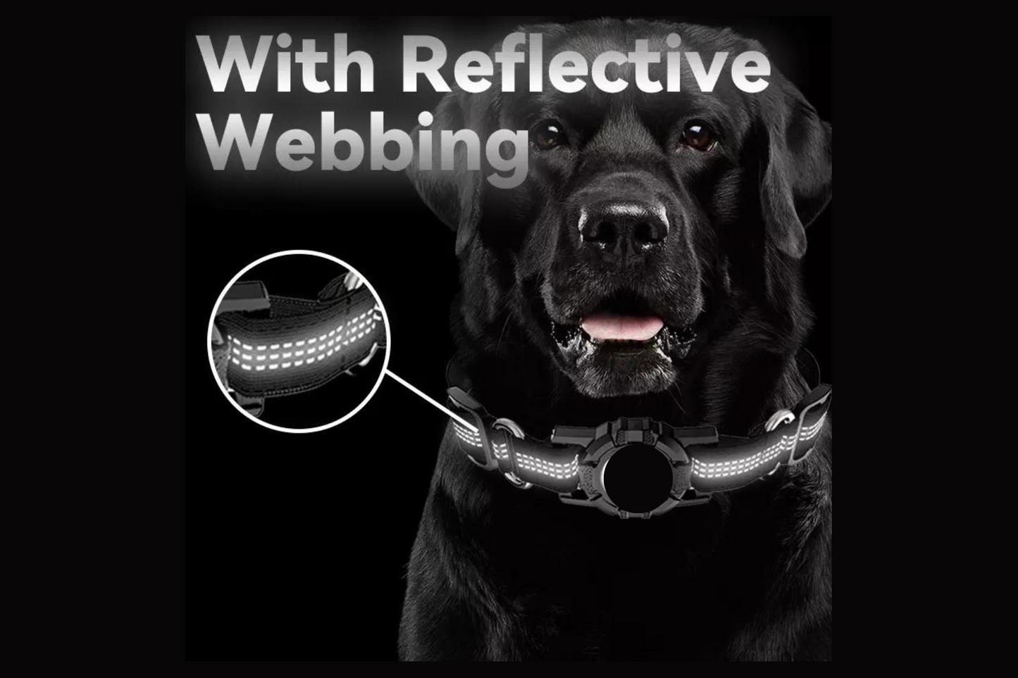 Adjustable Reflective AirTag Holder Collar for Dogs – Durable Pulse Ability Pet ID Tag Holder