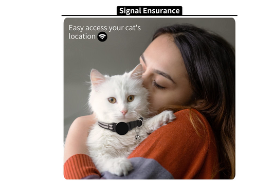 Always know where your cat is with this AirTag holder for your cat